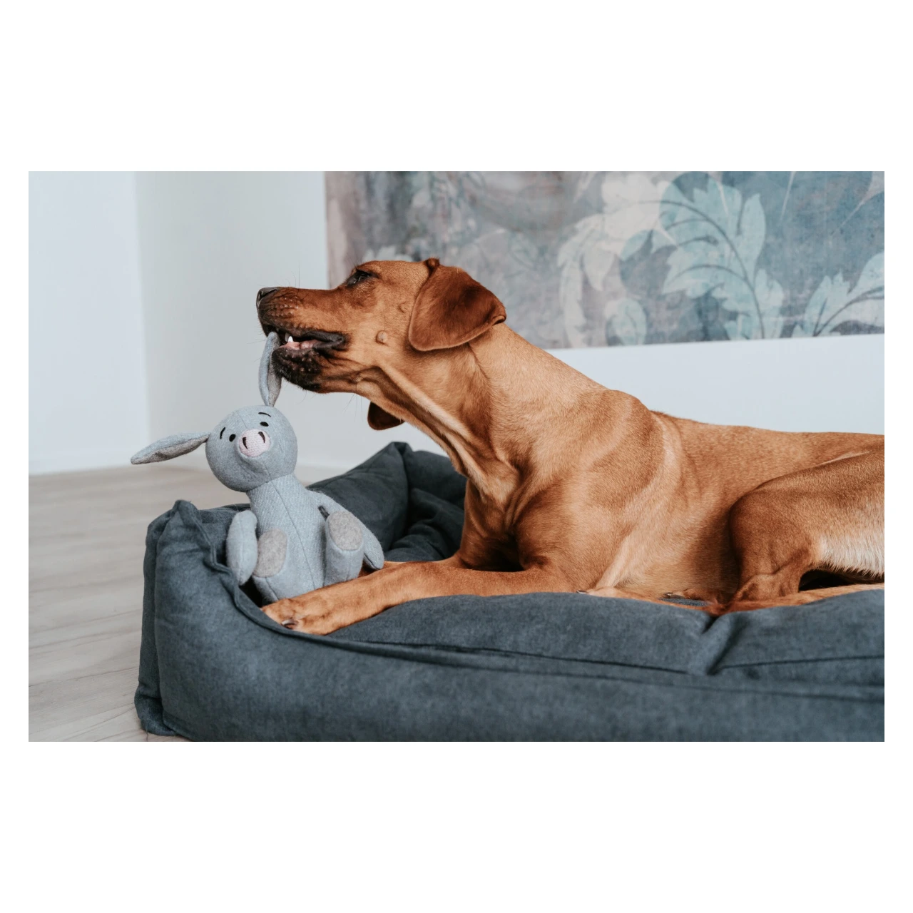 Hunter Marle Gris hundebamse uden squeaker 35 cm